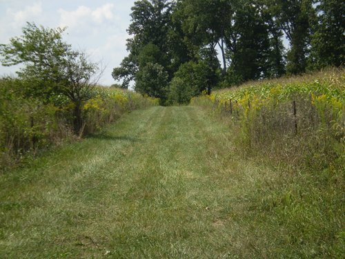 Property photo 12 - 40 Acres in 4 Tracts - Great Location!